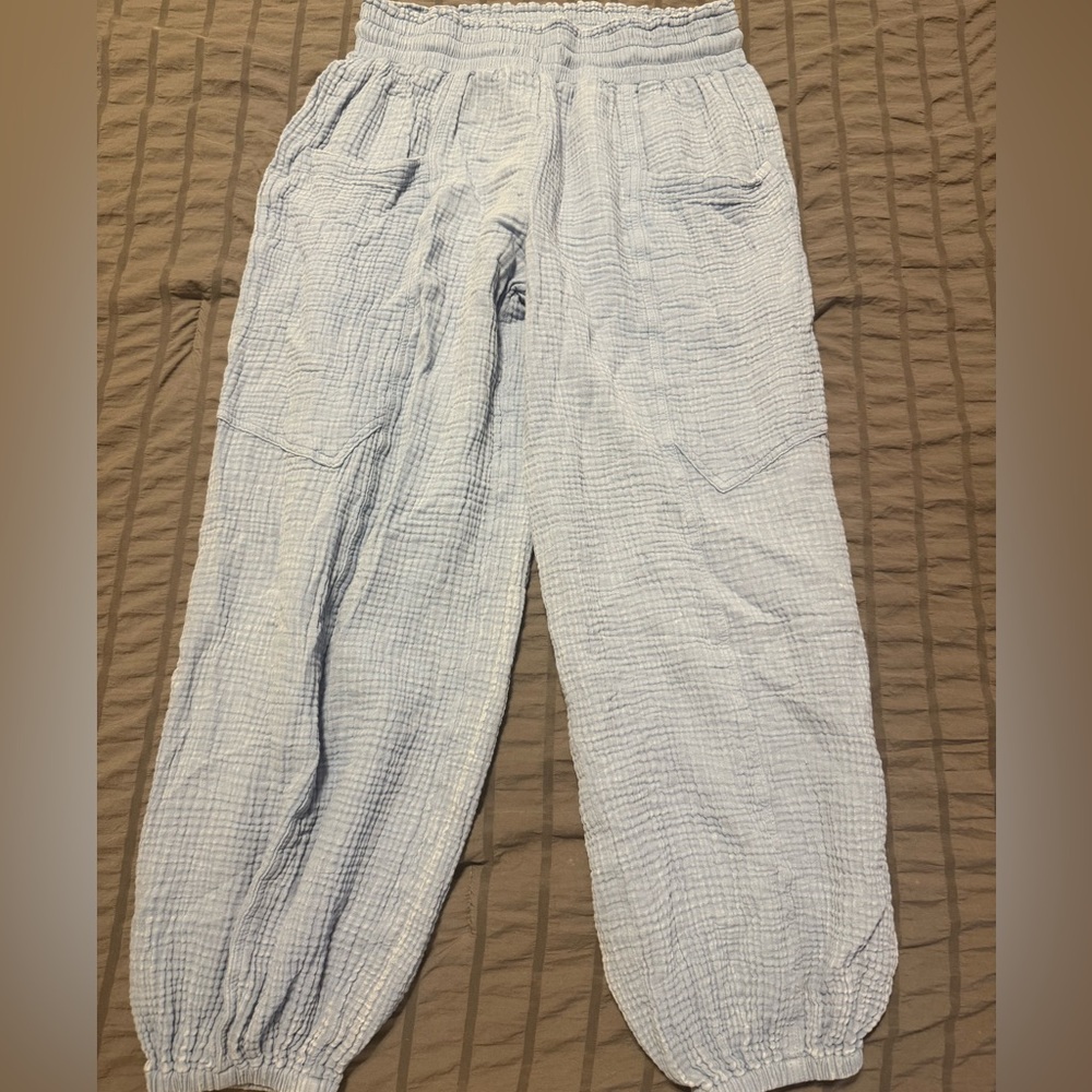 Aerie Light Blue Women's Cargo Pants